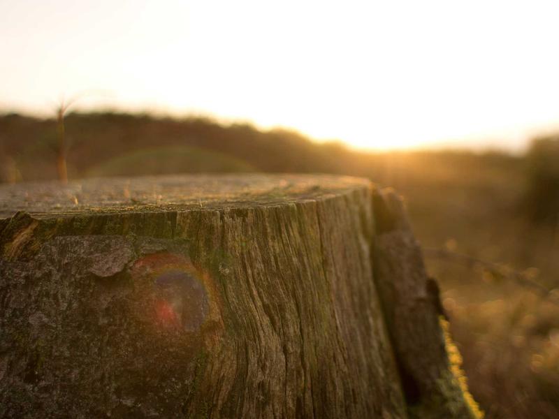 sudoku puzzle game screenshot 3